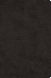 ESV Large Print Bible