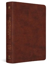 ESV Gospel Transformation Study Bible