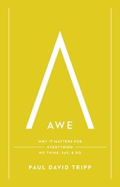 Awe