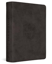 ESV Men's Study Bible