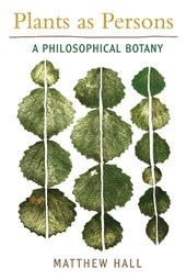 Plants as Persons