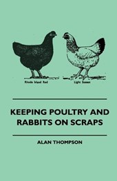 Keeping Poultry And Rabbits On Scraps