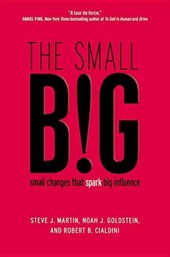 SMALL BIG