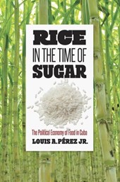 Rice in the Time of Sugar