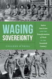 Waging Sovereignty