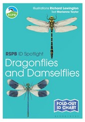 RSPB ID Spotlight - Dragonflies and Damselflies