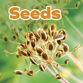 Seeds