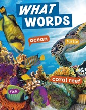 What Words