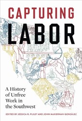 Capturing Labor