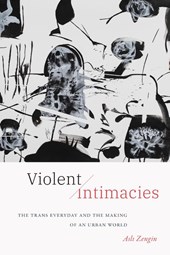 Violent Intimacies