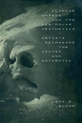 Climate Change and the New Polar Aesthetics