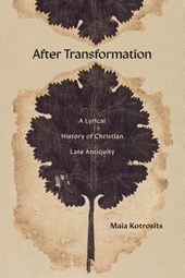 After Transformation