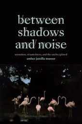 Between Shadows and Noise