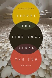Before the Fire Dogs Steal the Sun