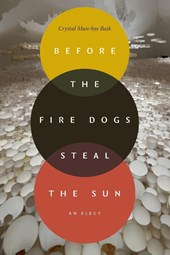 Before the Fire Dogs Steal the Sun