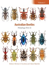 Australian Beetles: Polyphaga (Part 2)