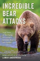 Incredible Bear Attacks