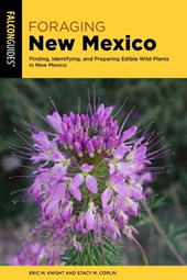 Foraging New Mexico