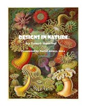 Designs in Nature: the incredible art of Ernst Haeckel