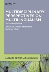 Multidisciplinary Perspectives on Multilingualism