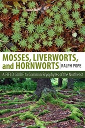 Mosses, Liverworts, and Hornworts
