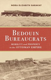 Bedouin Bureaucrats