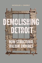 Demolishing Detroit