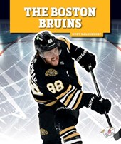 The Boston Bruins