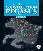 The Constellation Pegasus