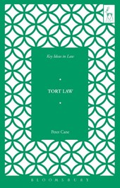Key Ideas in Tort Law