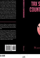 Tax Strategy vs. Countermeasures