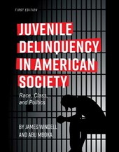 Juvenile Delinquency in American Society