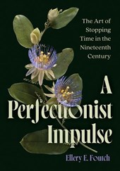 A Perfectionist Impulse