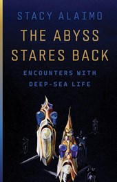 The Abyss Stares Back