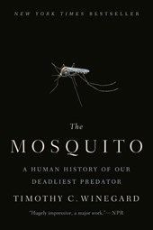 Mosquito