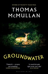 Groundwater