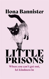Little Prisons