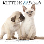 Kittens Friends Square Wall Sunday Start