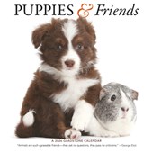Puppies Friends Square Wall Sunday Start