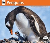 WWF Penguins: 12x14 Deluxe Wall