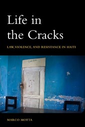 Life in the Cracks