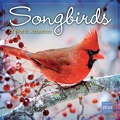 2026 Songbirds of North America Wall Calendar