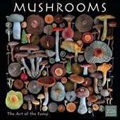 2026 Mushrooms: The Art of the Fungi Wall Calendar