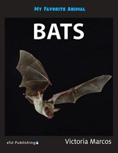 My Favorite Animal