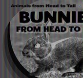 Bunnies from Head to Tail