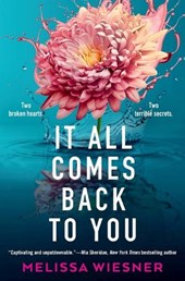 It All Comes Back to You