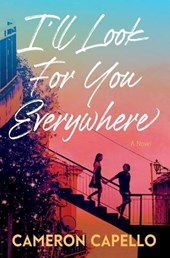 I'll Look for You Everywhere