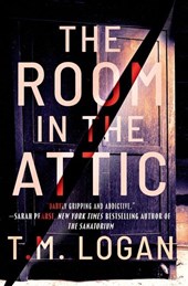 Room in the Attic