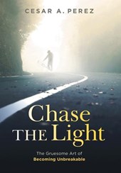 Chase the Light