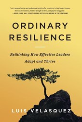 Velasquez, L: Ordinary Resilience